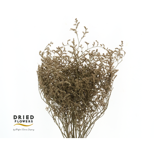 Dried Tatarica Natural