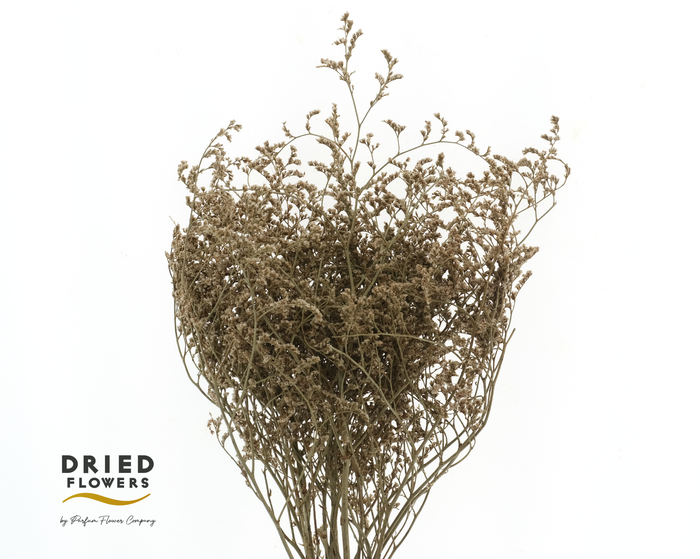 <h4>Dried Tatarica Natural</h4>