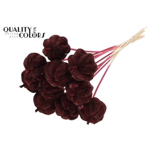 Velvet Pumpkin Ø6cm on stem Burgundy