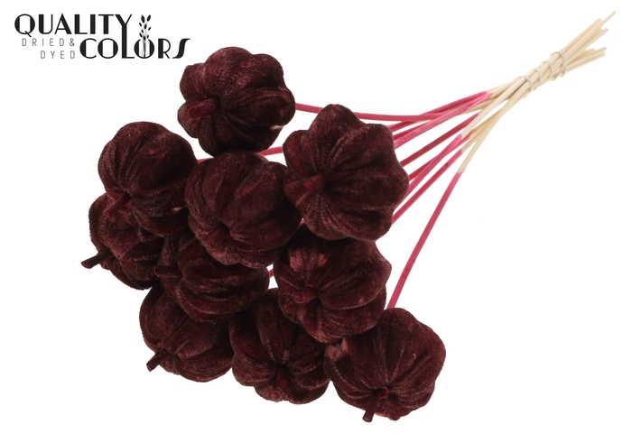 Velvet Pumpkin Ø6cm on stem Burgundy