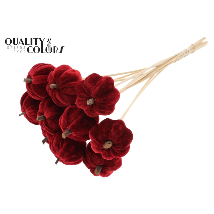 <h4>Velvet Pumpkin Ø6cm on stem Red</h4>