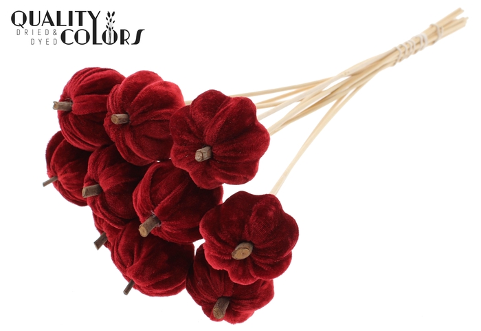 Velvet Pumpkin Ø6cm on stem Red