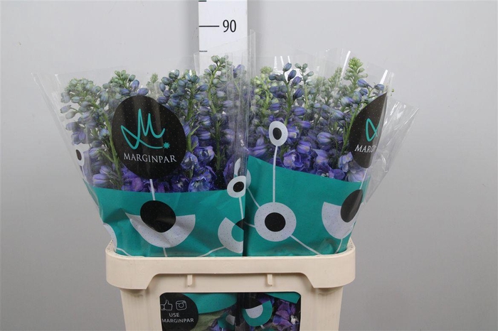 <h4>Delph Du Guard Blue</h4>