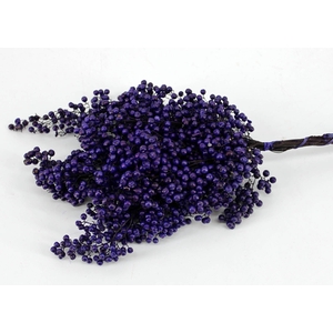 Schinus m.purple