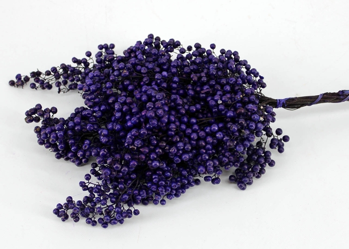 <h4>Schinus m.purple</h4>