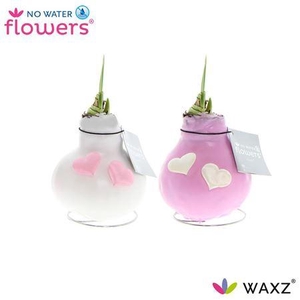 Wax Hipp Roze-wit Met Hartjes