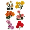 ROSA SPRAY VARIADA 060 CM