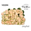 R TR H JOYFUL