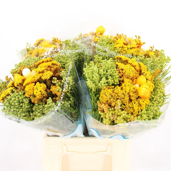 <h4>Bouquet Sunset</h4>