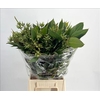 Euc. Robusta Berries Big