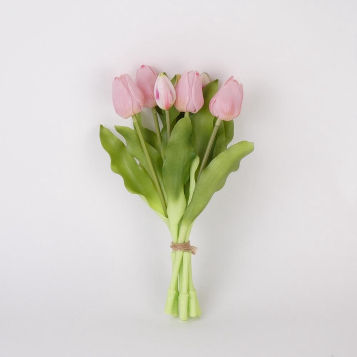 <h4>AF Tulip bundle x7 L30cm l.pi</h4>