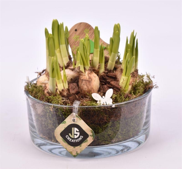 <h4>Glas schaal 15cm</h4>