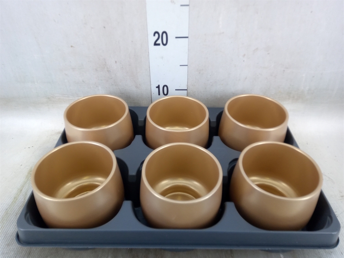 <h4>Pot   ...Keramische H%</h4>