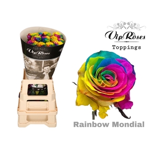 R GR RAINBOW MONDIAL