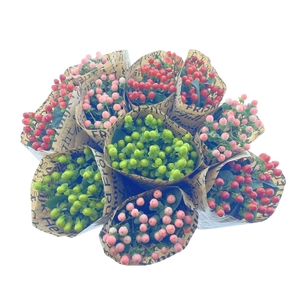 BQ Mono Hypericum 5 stems mix