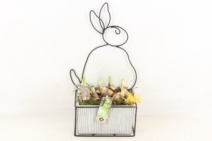 <h4>arr4 Narcis JS - Easter frame mix</h4>