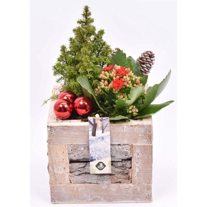 Hout met boomschors 15x15cm