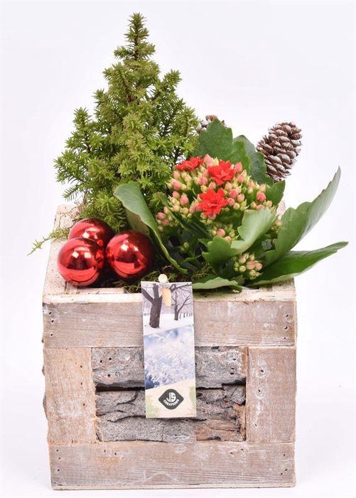 <h4>Hout met boomschors 15x15cm</h4>