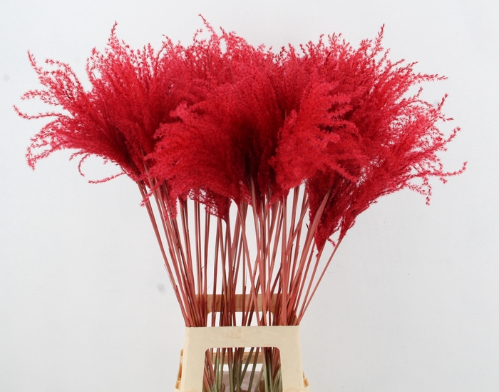 <h4>DROOGBL BEWERKT H%</h4>