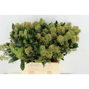 SKIM NATURE CHAMPAGNE PER BUNCH 10BL