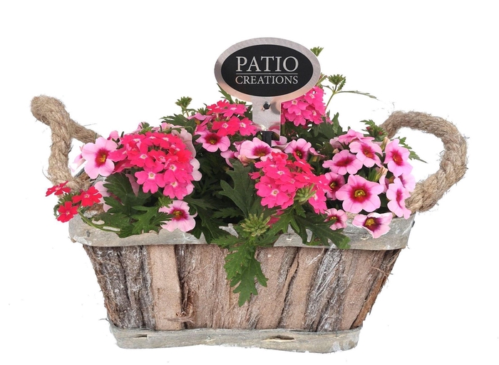 <h4>Arr.   Perkplanten L%</h4>