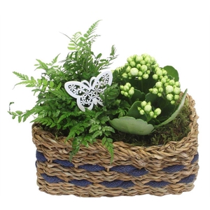 0539 MAND RH MET BLAUW