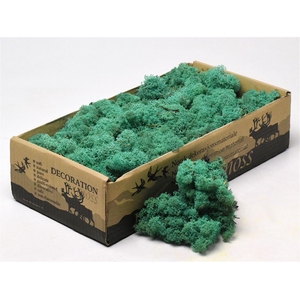 Mos Rendier Pacific Green Gepr 500gr