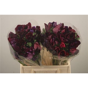 Anem Mistral Noir Super