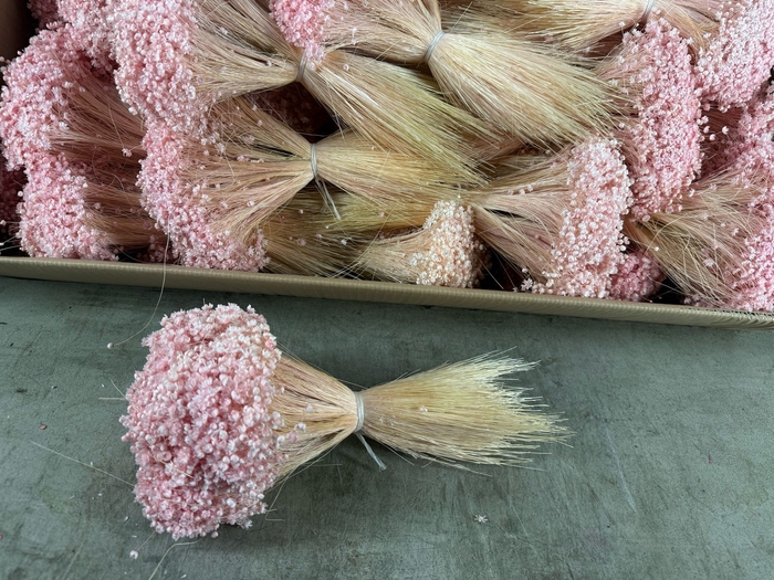 DF Glixia Light Pink Bs 100g