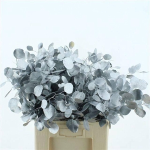 EUC POL KLB P BOS H%