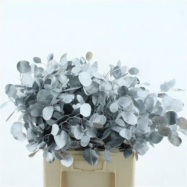 <h4>EUC POL KLB P BOS H%</h4>