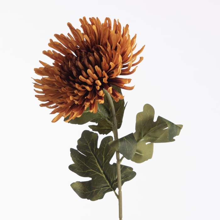 <h4>AF Chrys Spider 73cm Red/Oran</h4>