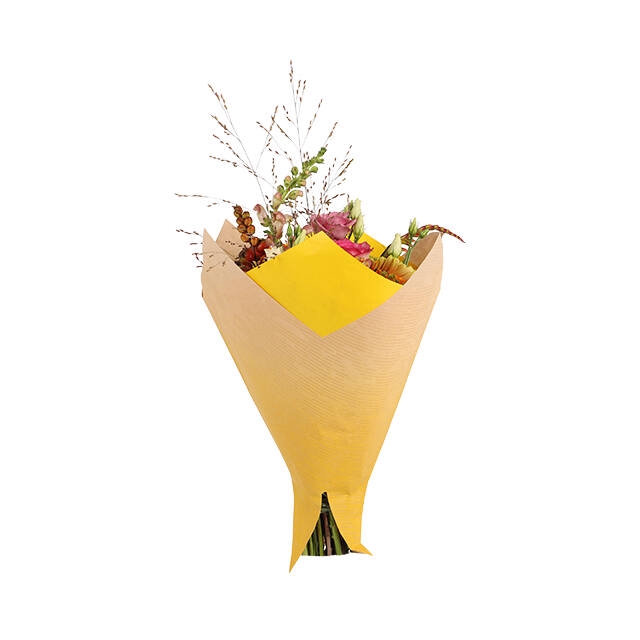 <h4>Housses 52x35x10cm OPP40 Kraftline rose</h4>
