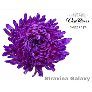 CHR G STRAVINA Paint GALAXY