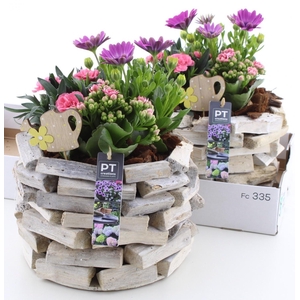 ARR TUINPLANTEN
