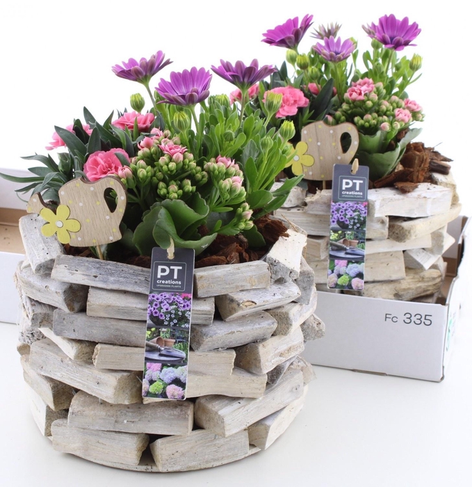 <h4>ARR TUINPLANTEN</h4>