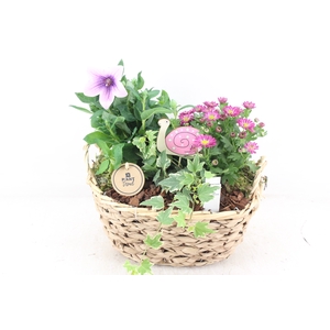arr4 Outdoor MB - Zeegras mand ovaal