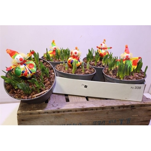 arr8 Arr Bol Knol Met Clown Deco