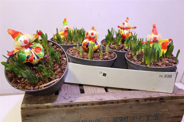 <h4>arr8 Arr Bol Knol Met Clown Deco</h4>