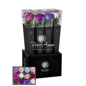 Lori 50cm Assorted Pastel