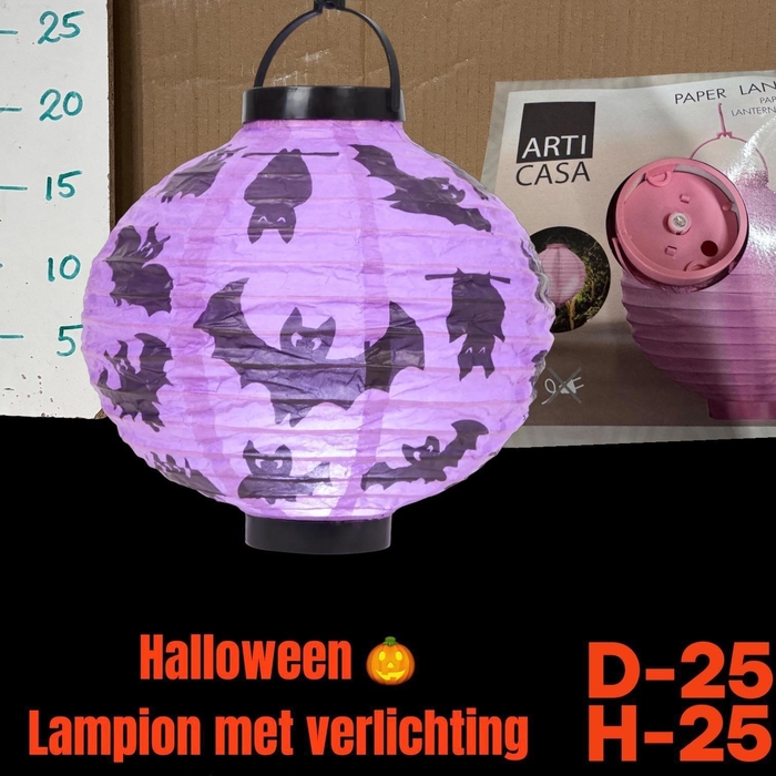 <h4>HUIS EN TUINDECO H%</h4>