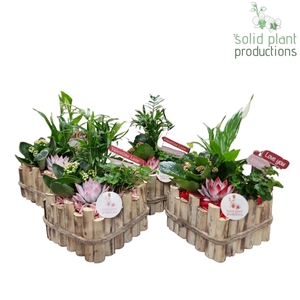 HVSCE004 Verona Small Red/Pink Mix