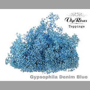 GYPS PA DENIM BLUE