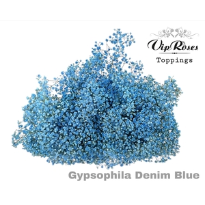 GYPS PA DENIM BLUE