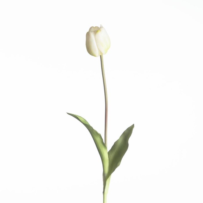 <h4>AF Tulip French L60cm White</h4>