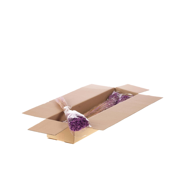 <h4>Hill Flower 100gr Sb Lilac Misty</h4>