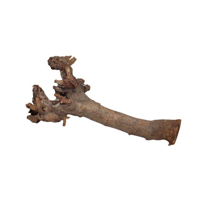 <h4>Branch Kuwa Root L40</h4>