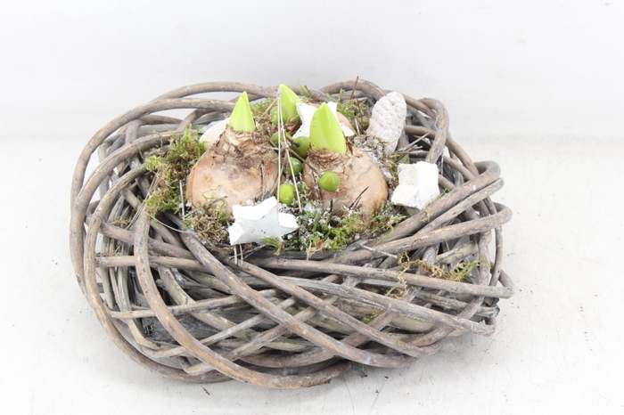 <h4>arr4 Hyacint PL - 4Kant tulband los</h4>