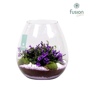 Green Bottle Abby XLarge met Campanula Arrangement 24 uur levertijd