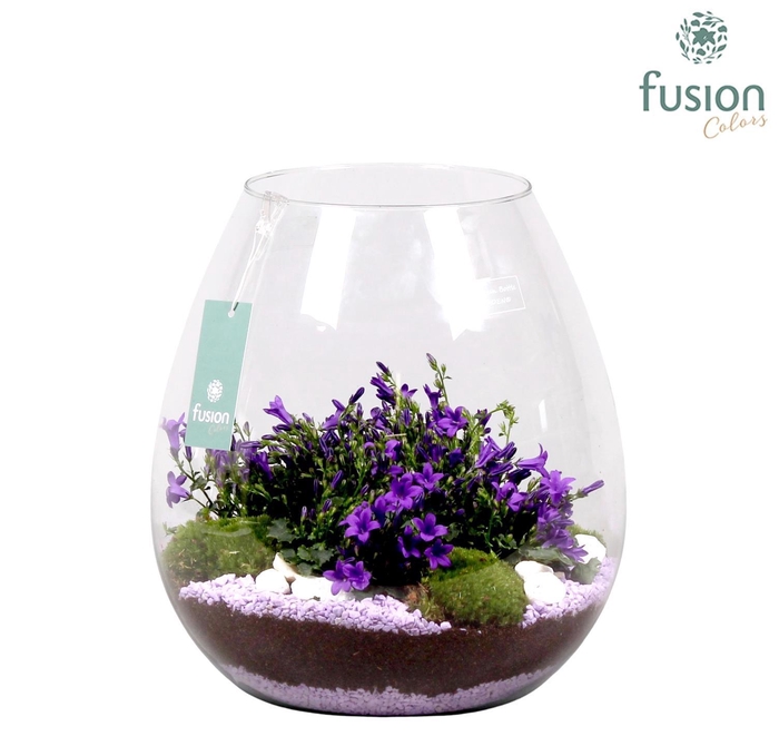 <h4>Green Bottle Abby XLarge met Campanula Arrangement 24 uur levertijd</h4>